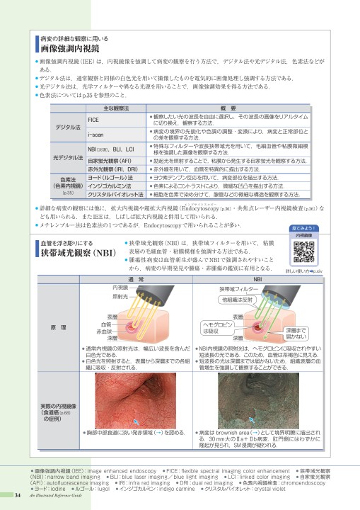 病1 6版 Web立読み