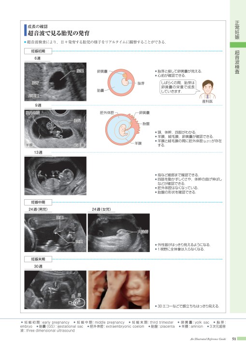 病10 4版 立ち読み