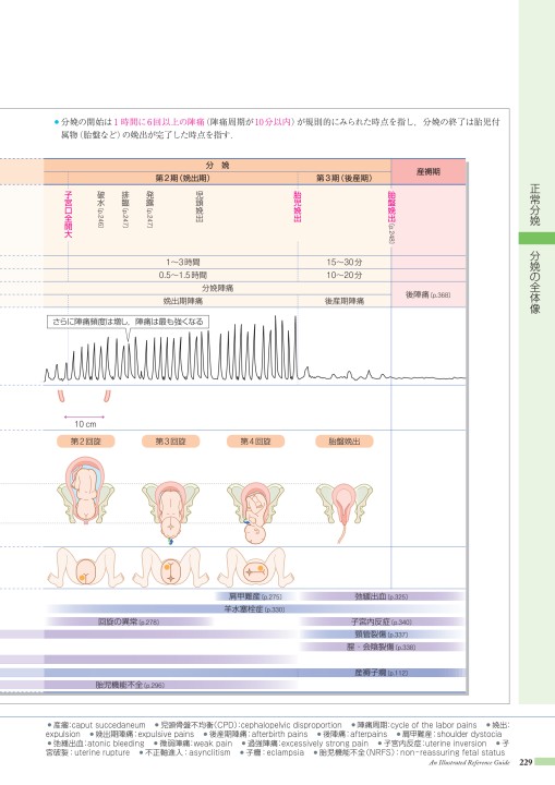 病10 4版 立ち読み