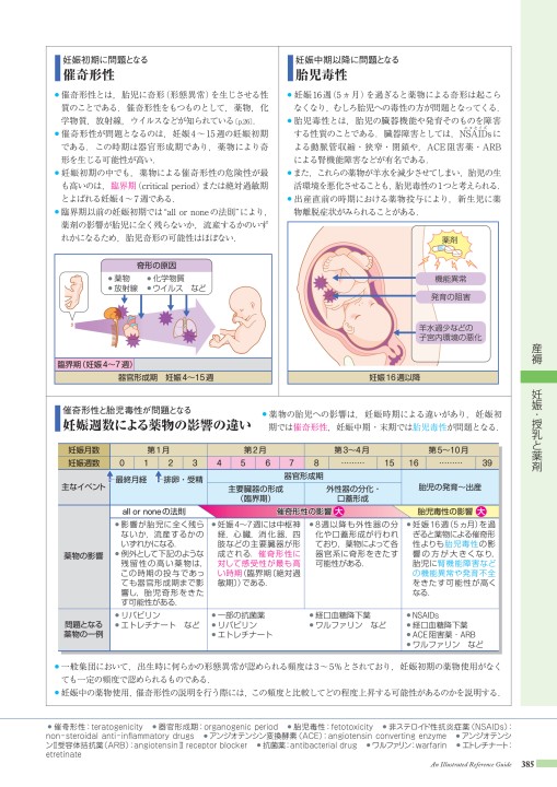 病10 4版 立ち読み