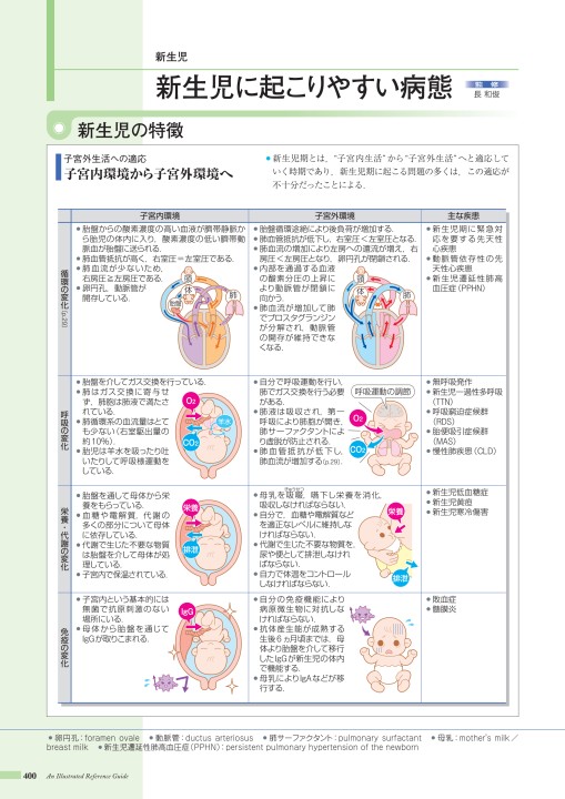 病10 4版 立ち読み