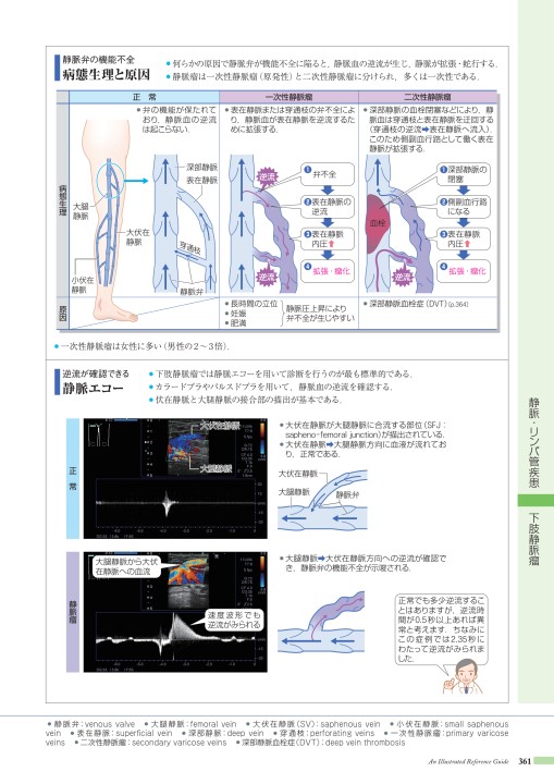 病気が見える！1.2.3.4.7.8 視力と度数の意味とは？自分にあった度数を決めるには - Zoff