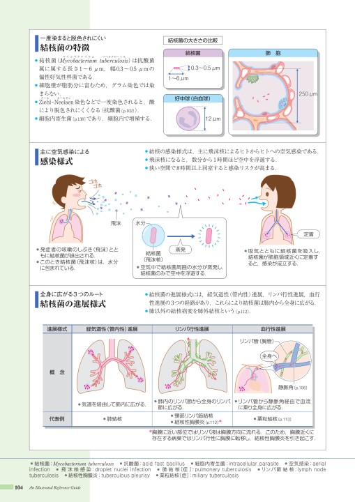 ç—…4 3ç‰ˆ Webç«‹ã¡èª­ã¿ 181106