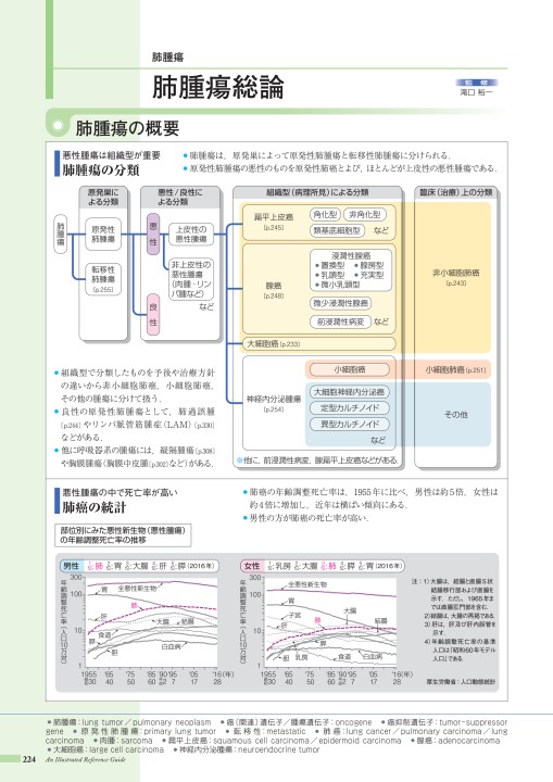 病4-3版_web立ち読み_181106