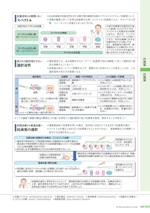 病6 2版 立ち読み