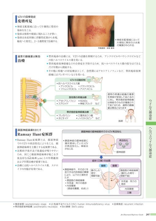 病6 2版 立ち読み