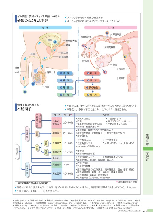 病9 4版 立ち読み