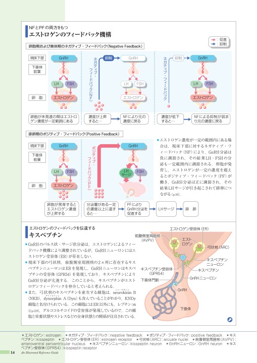 病9-4版_立ち読み