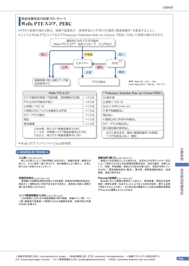 診断の近道 チャートで示す症状から診断まで 佐藤 淳哉、木戸 尚治、堀 雅敏 ≪人工知能画像診断学≫武田 理宏