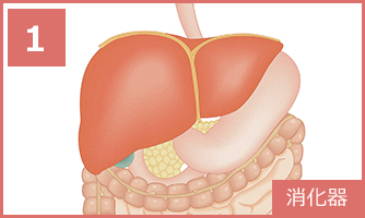 1 消化器