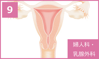 9 婦人科・乳腺外科